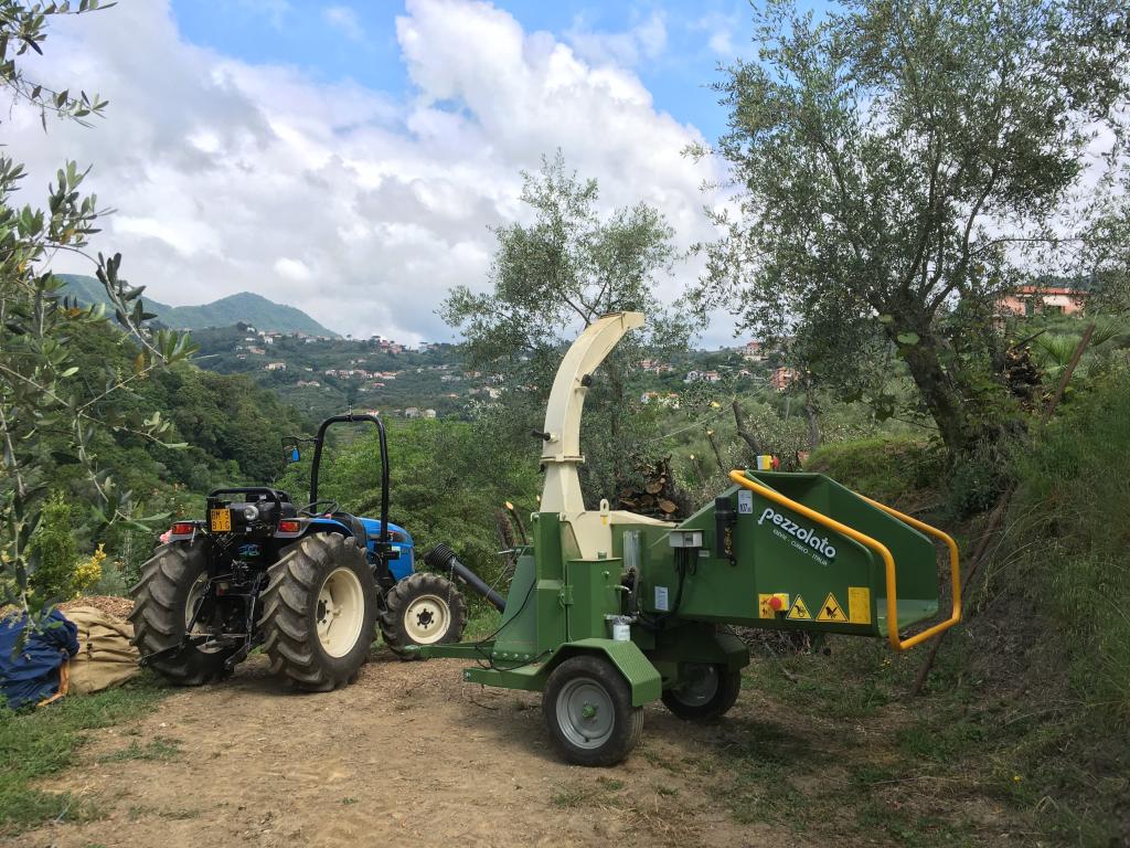 Agricoltura e florovivaismo